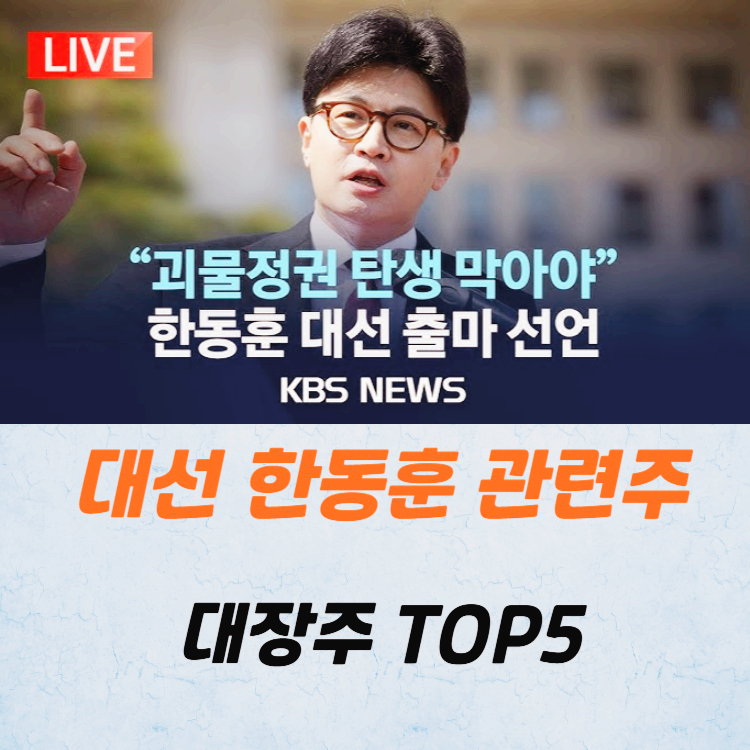 대선 한동훈 관련주 대장주 테마주 TOP5