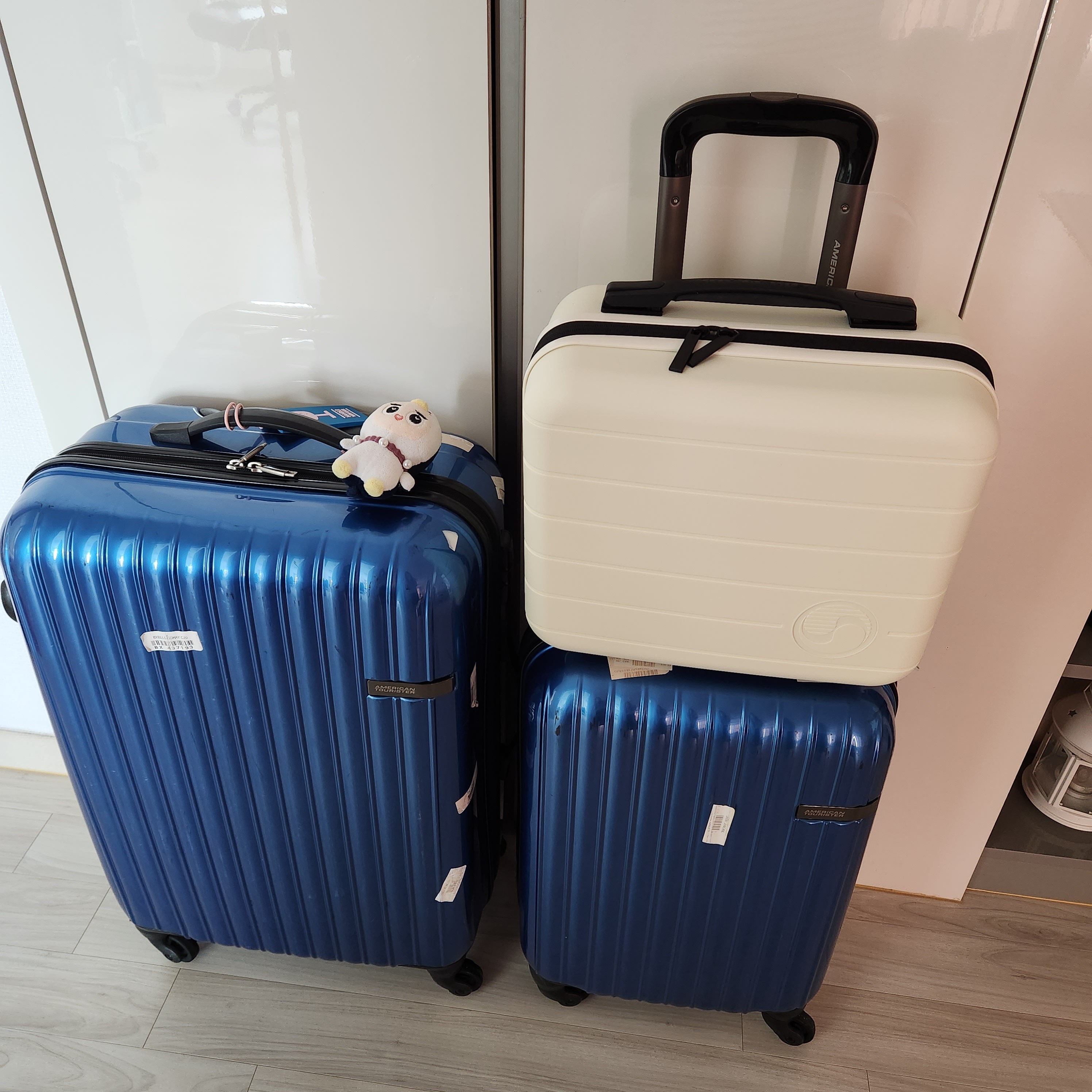 싱가포르 여행 캐리어