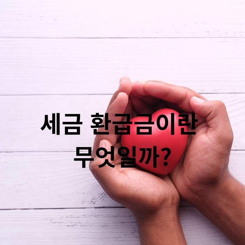 세금 환급금 잔돈기부 서비스