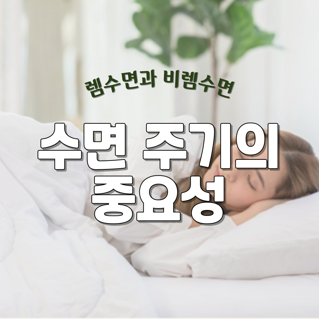 해당 게시글의 썸네일, 렘수면과 비렘수면 수면 주기의 중요성