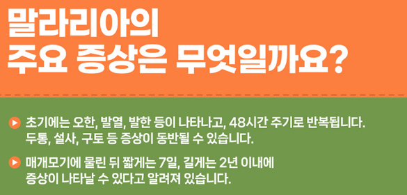 말라리아 주요 증상