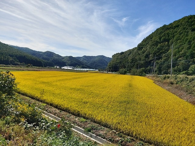 공익직불금 신청