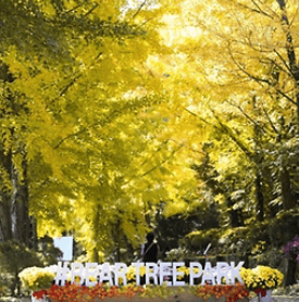 광양매화축제 숙박&amp;#44; 숙소&amp;#44; 할인