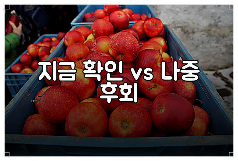 지금 확인 vs 나중 후회