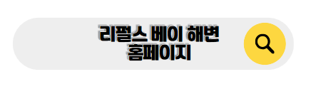 홍콩 신혼여행