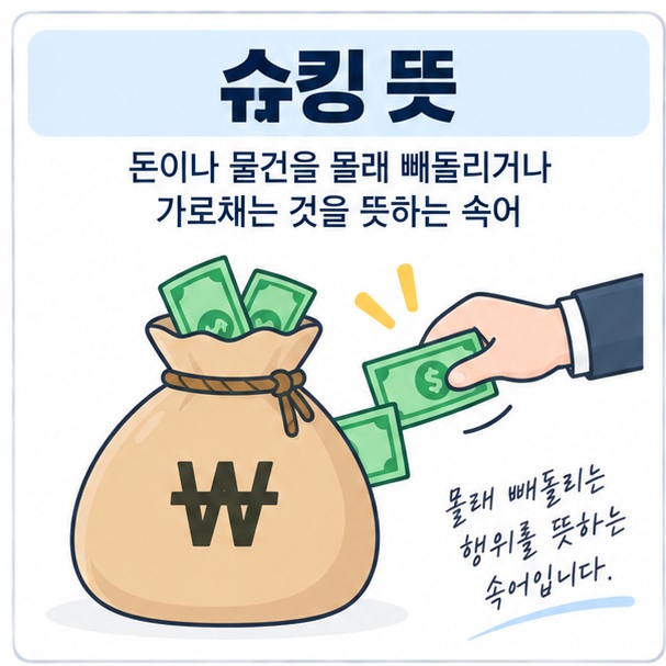 돈주머니와 빠져나가는 지폐 아이콘 위에 슈킹 뜻 문구가 표시된 대표 이미지