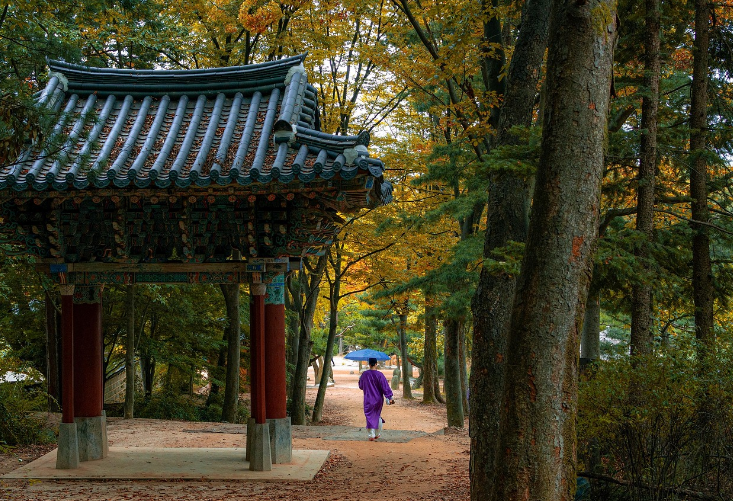 한국민속촌 사진
