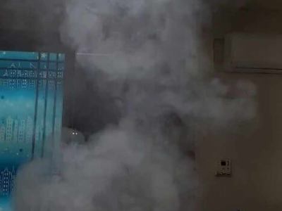 빈대 퇴치 없애는 방법 대처법