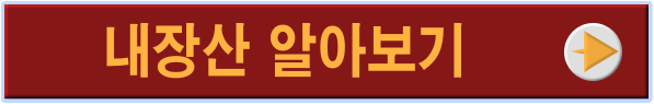 내장산 링크