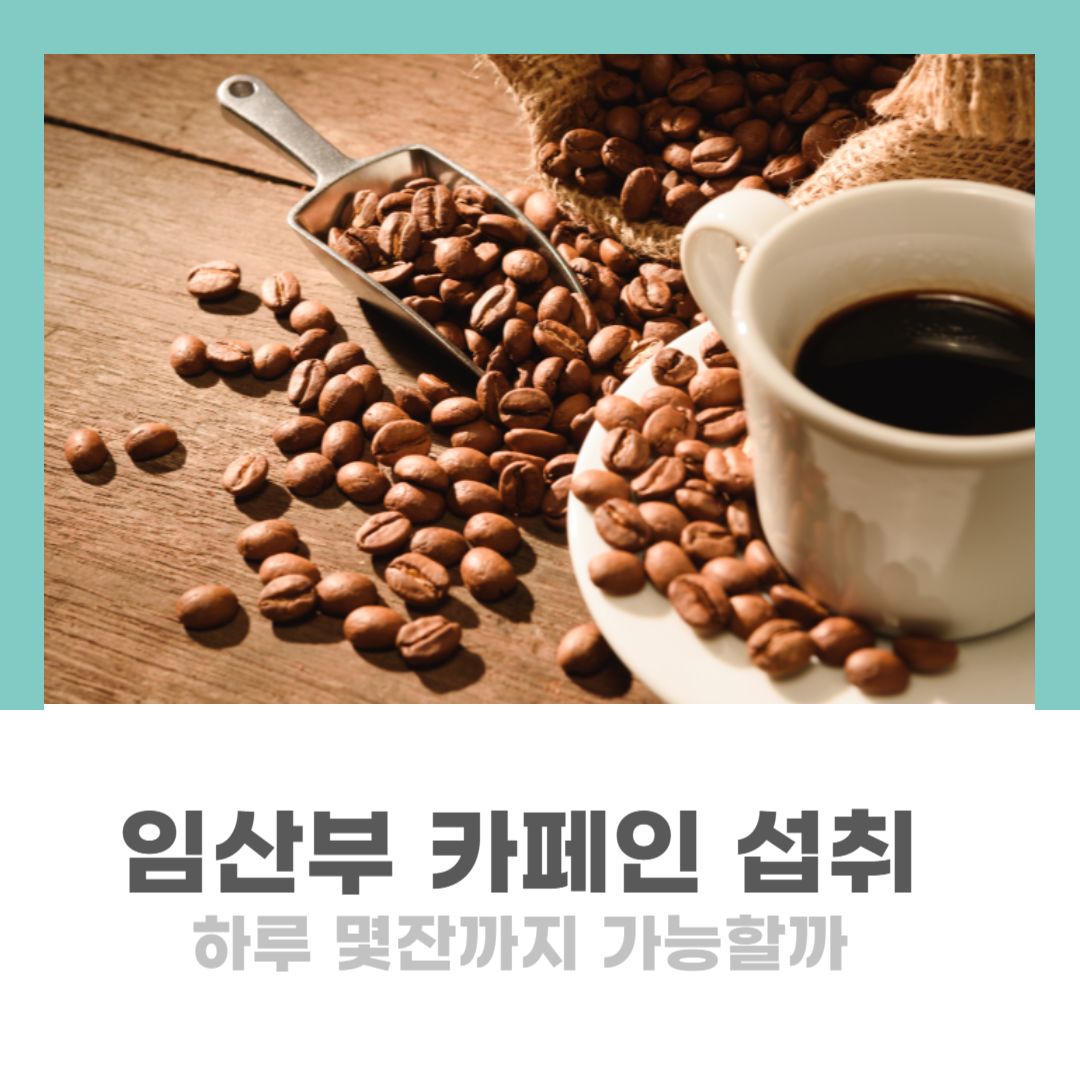 임산부 카페인 권장량