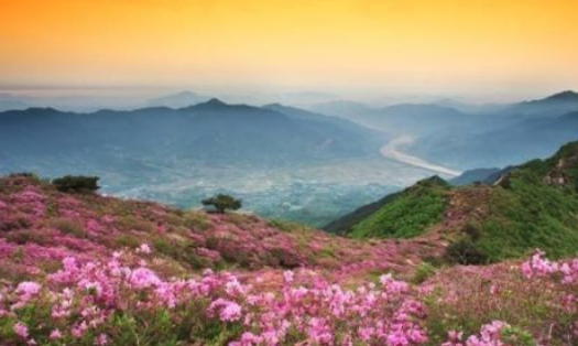 2025 가을 전라도 단풍 명소 BEST ❘ 내장산&middot;지리산&middot;백암산 절정 시기 &amp; 코스