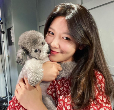수영