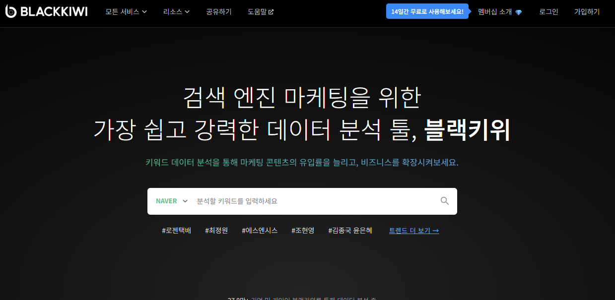 검색량 높은 키워드 찾는 법: 무료 및 유료 툴 비교와 활용법_블랙키위