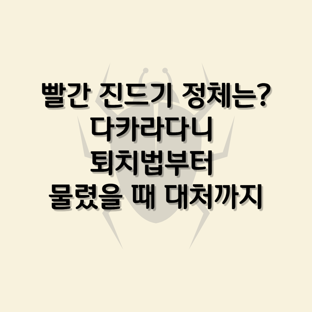빨간 진드기의 정체와 실내 유입 방지법, 물렸을 경우 대처법