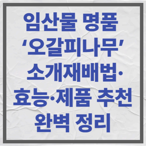 임산물 명품 &lsquo;오갈피나무&rsquo; 소개
재배법&middot;효능&middot;제품 추천 완벽 정리