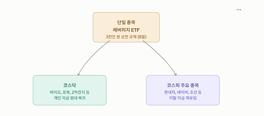 레버리지 ETF 규제 이후 자금이 코스닥과 코스피 주요 종목으로 되돌아가는 흐름 개념도
