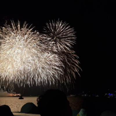 2024 서울 여의도 한강 불꽃축제 명당 시간 중계13