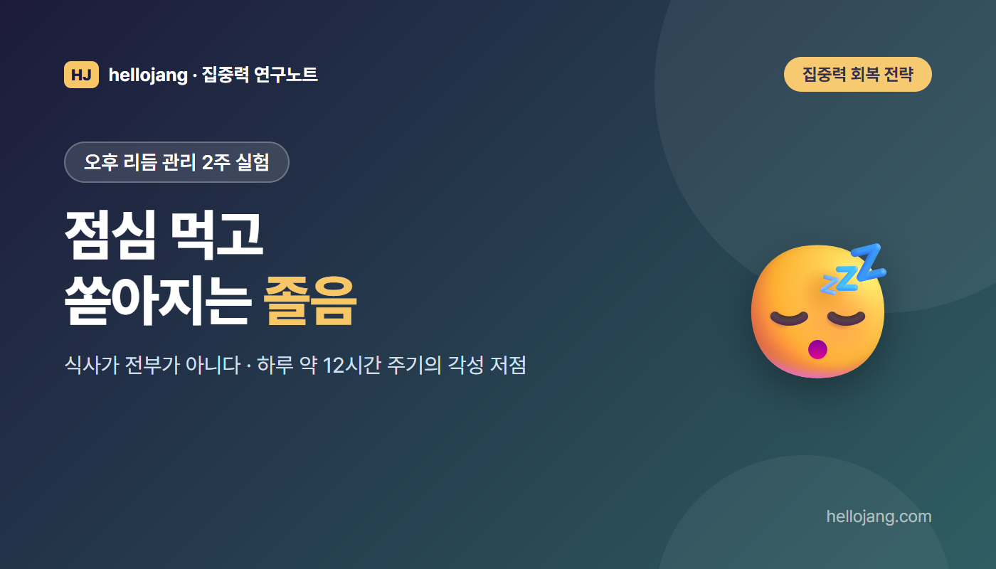 점심 이후 찾아오는 오후 졸음이 생체 시계에서 비롯된다는 연구와 2주간 시도한 오후 리듬 관리 방법을 다루는 글의 표지 그림