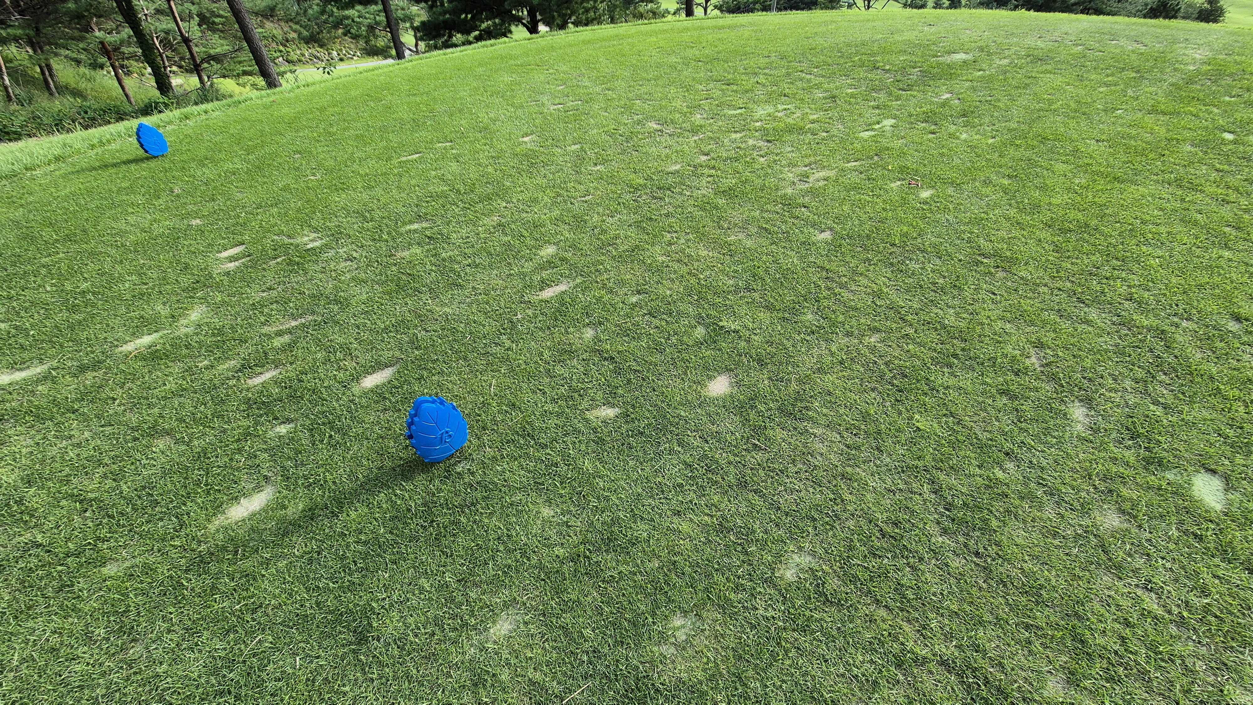 오크힐스cc 티잉구역 상태