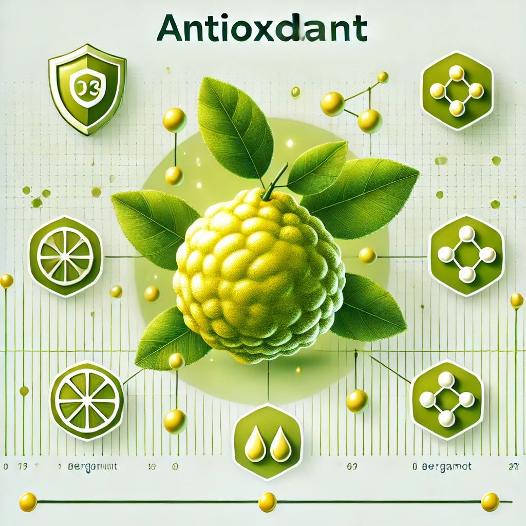 베르가못의 효능