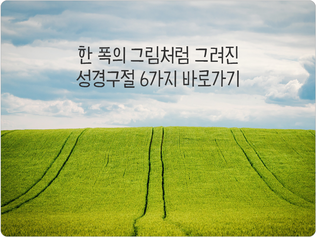 말씀으로 그려진 한 폭의 그림, 오늘 성무일도 성경소구, 오늘을 위해 준비된 말씀, 하루를 변화 시키는 성경 구절 6가지 바로가기