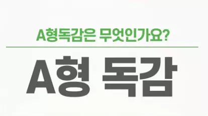 독감-증상-종류-건강