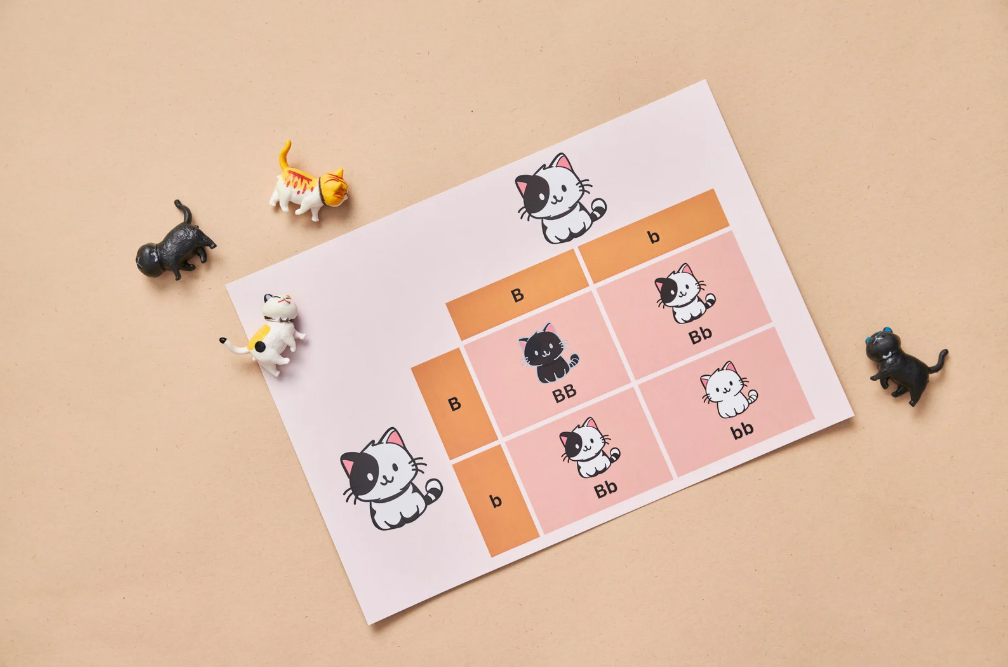 초등 교실 영어 표현 자료 나눠주기 관련 사진