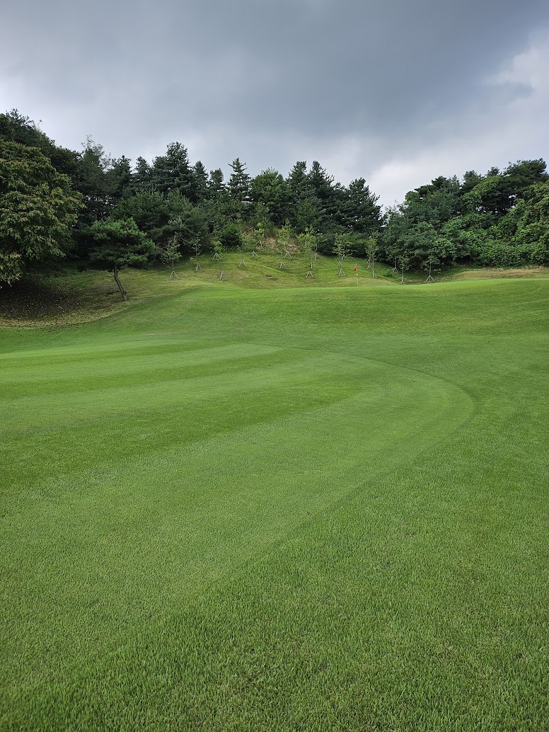 강원지역노캐디골프장