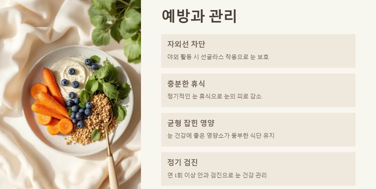 비문증 원인 자연치유 치료방법