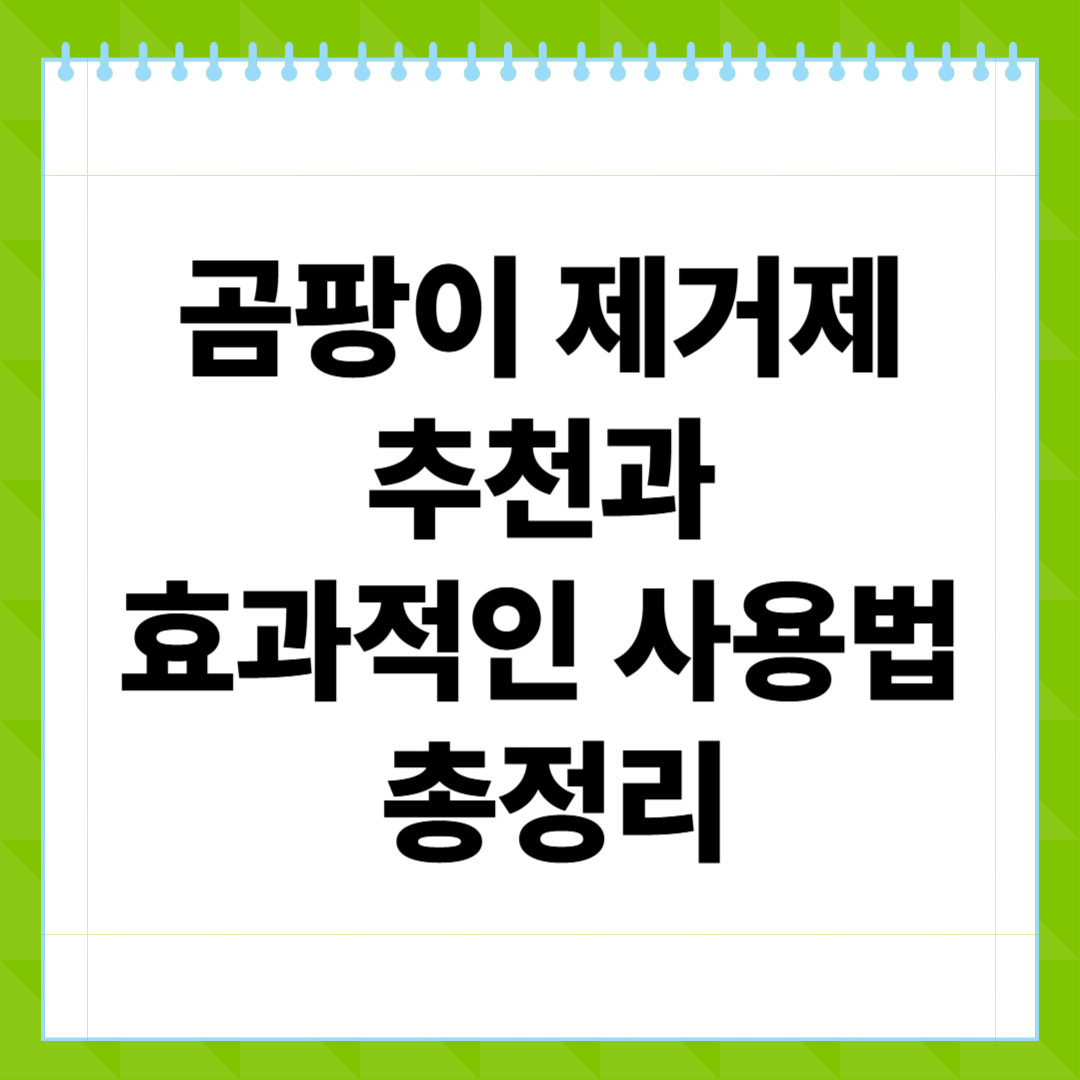 곰팡이 제거제 추천과 효과적인 사용법 총정리