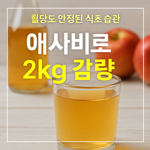 애사비로 2kg 감량한 식초 다이어트 썸네일