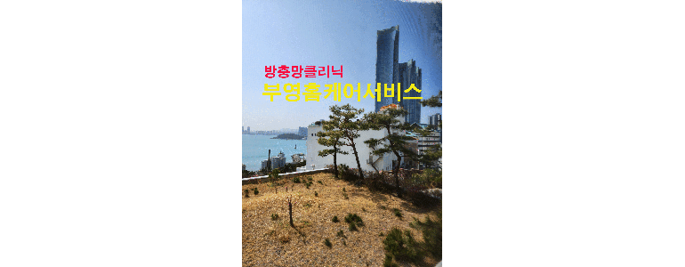 부산 북구 방충망
