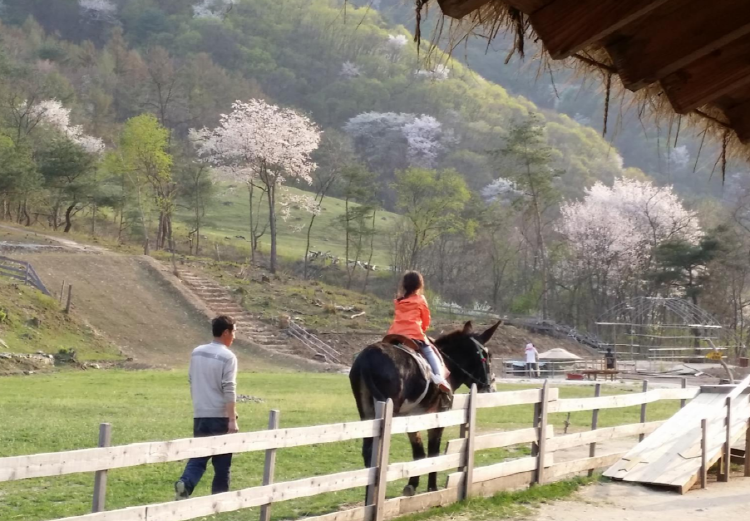 해피초원목장
