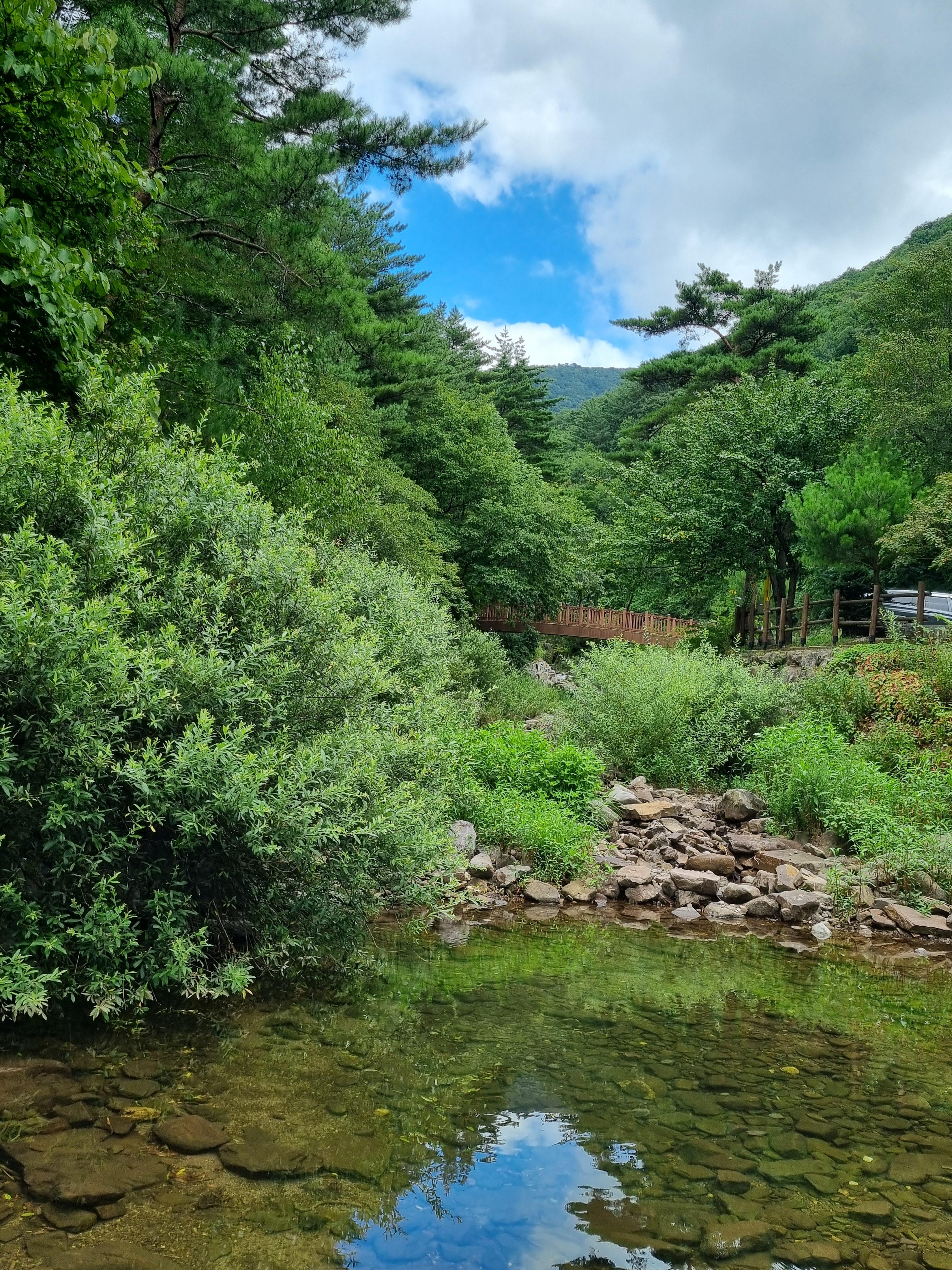 두타산자연휴양림 계곡물