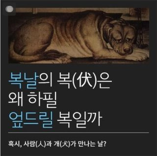 말복 날짜 음력 양력