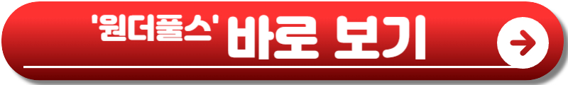원더풀스