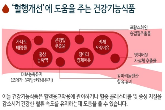 혈행개선 도움