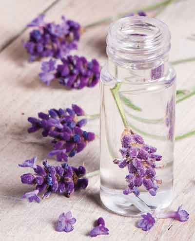 라벤더 오일 사용법