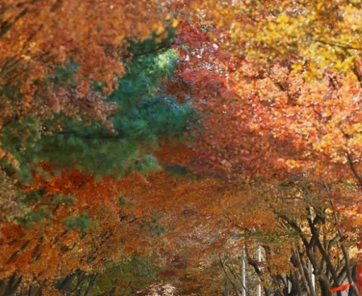 2024 유명한 산 단풍 시기