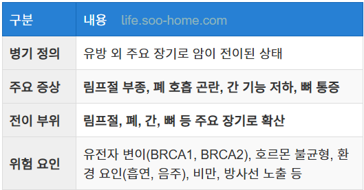 유방암 4기의 주요 원인과 위험 요인