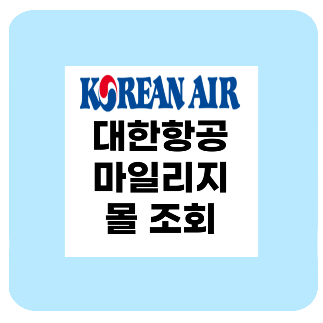 대한항공 마일리지 몰 조회부터 적립,전환 사용 꿀팁까지 — 실사용 후기