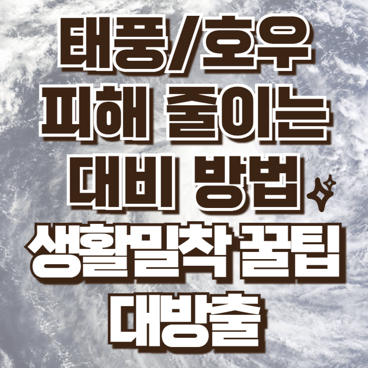 태풍 및 집중호우 피해 줄이는 방법 대처방법 총정리 실생활에 즉시적용 가능한 방법