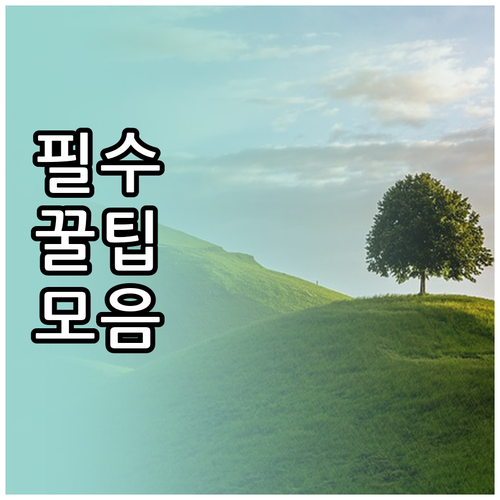 여행 예산 고민 끝 항공권 숙소 현지..