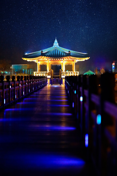 안동 월영교 불켜진 모습