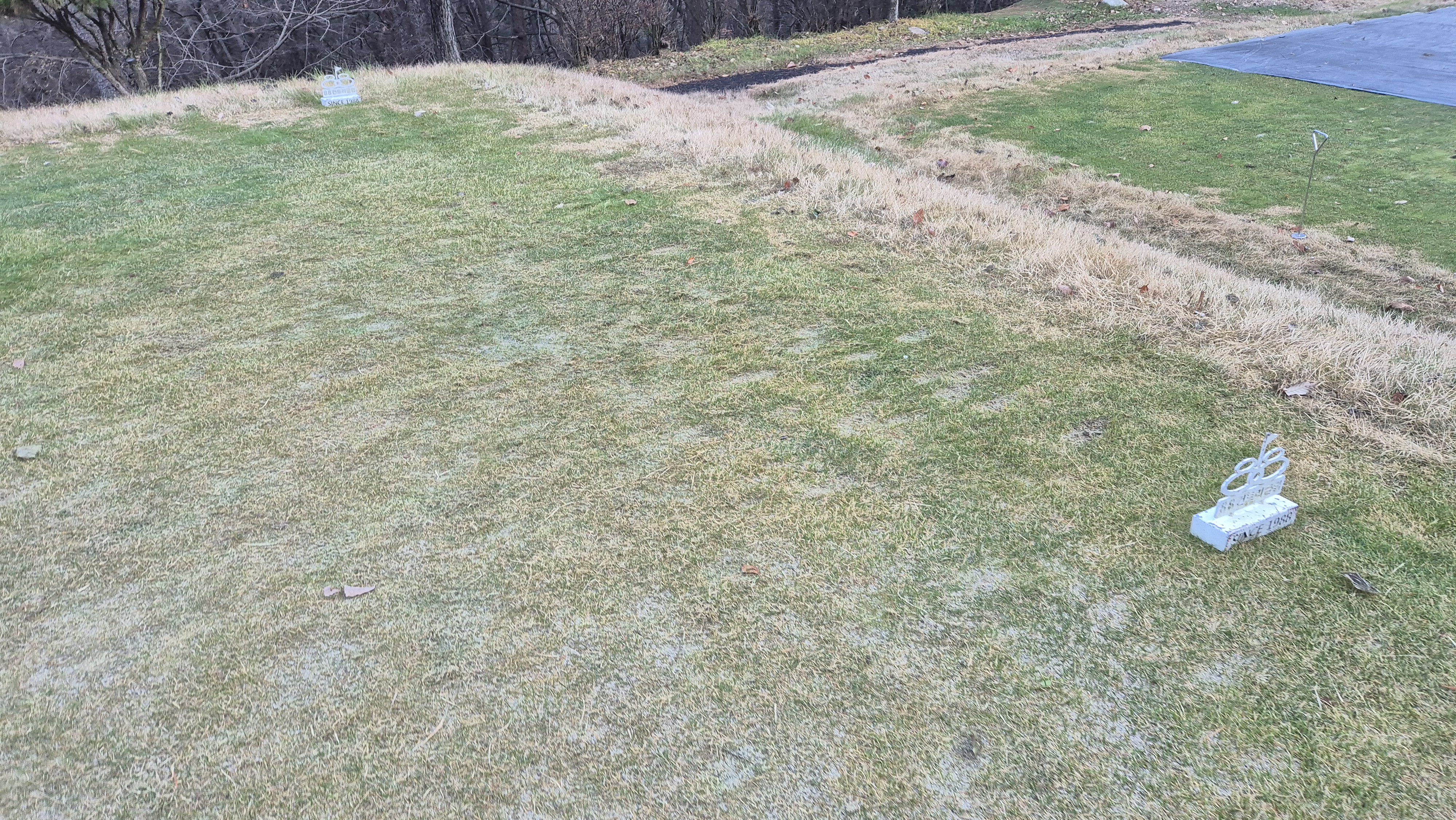 88cc 서코스 라운드 티잉구역상태