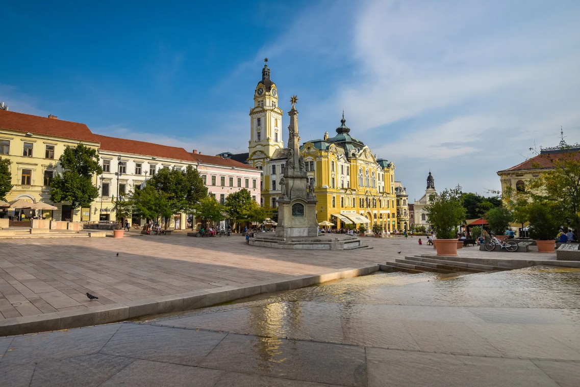 페치 관련 사진