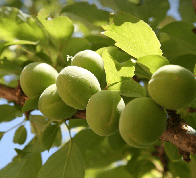 장염 빨리 낫는 법과 관련된 사진 - 7