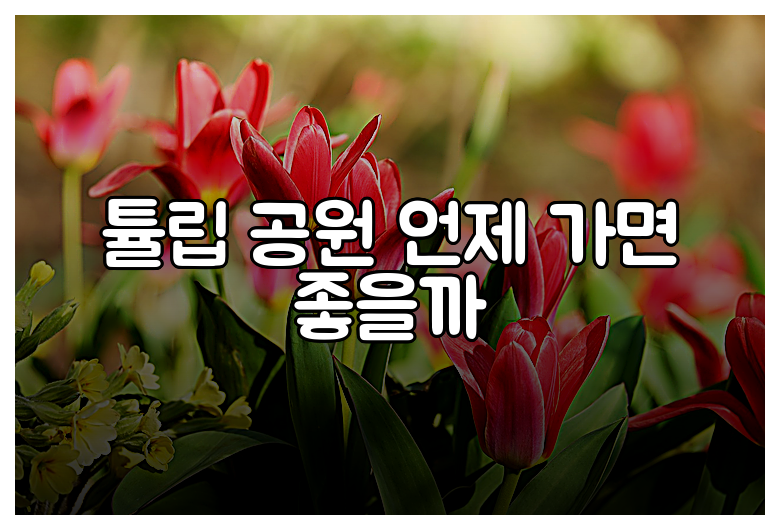 튤립 공원 언제 가면 좋을까