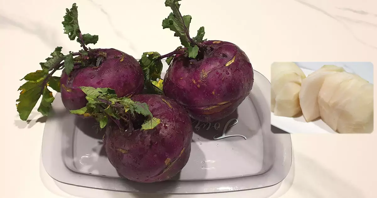 콜라비 생식