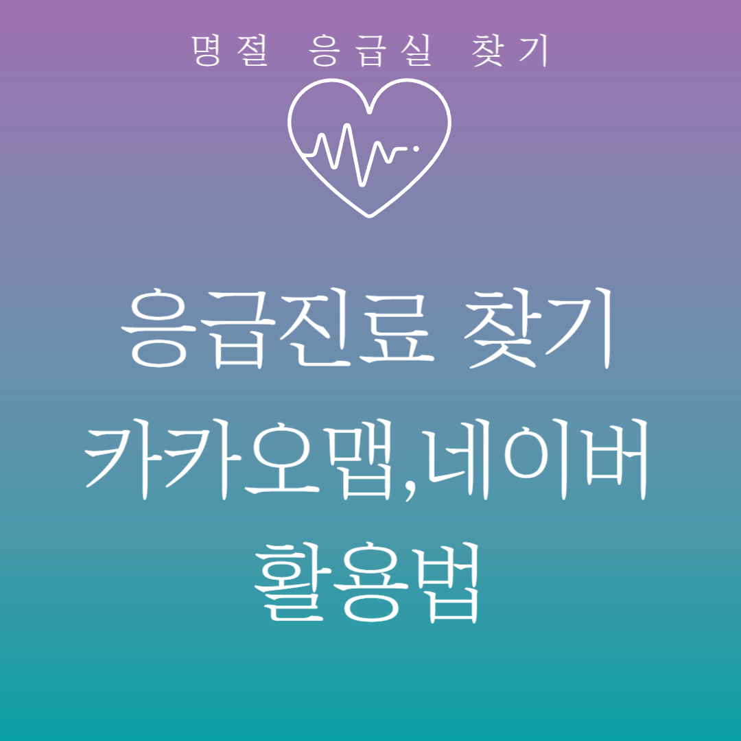 명절 응급실 찾기